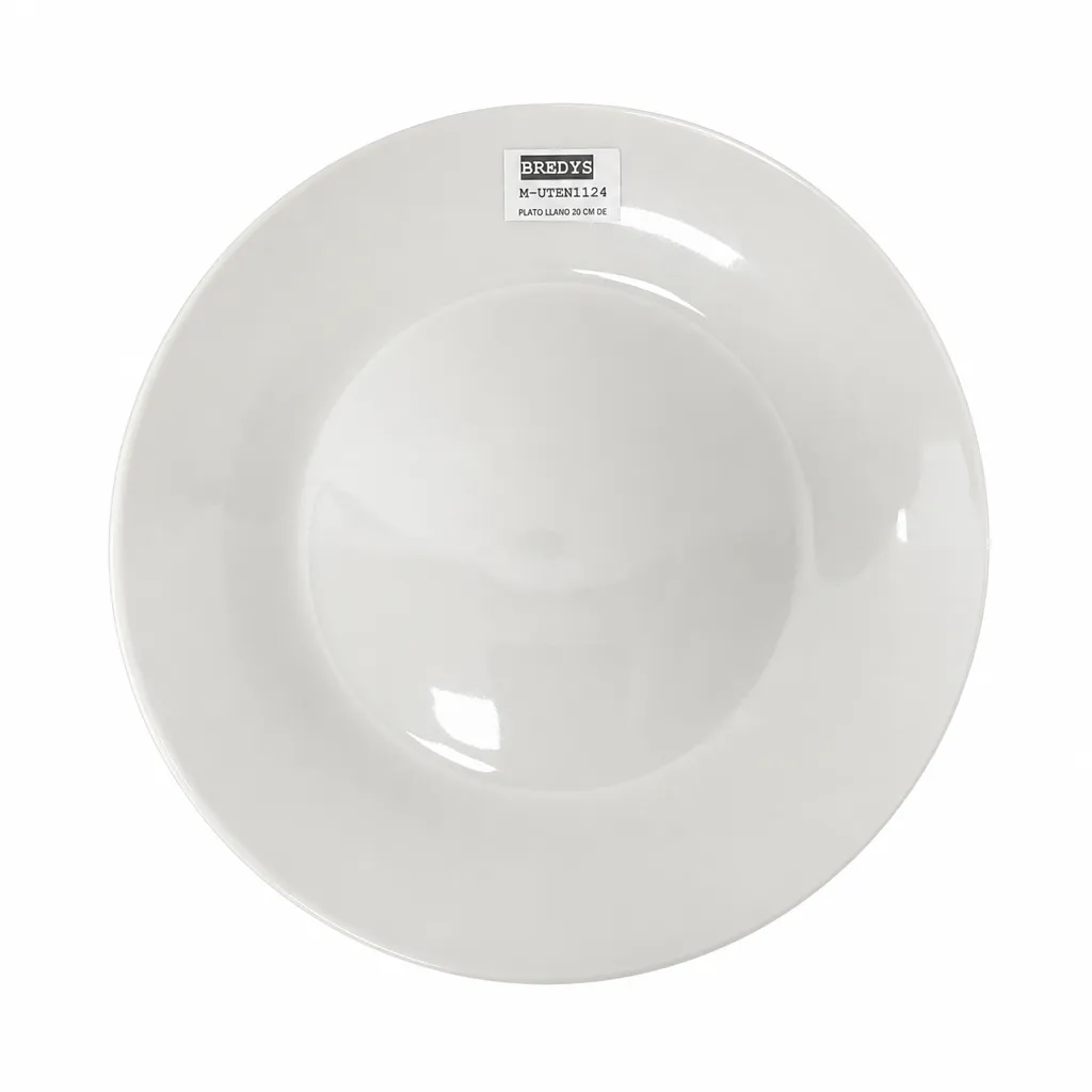 Plato Llano De Porcelana 20 Cm 