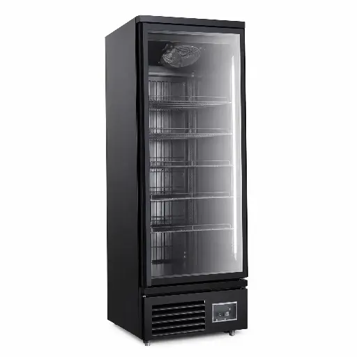 [M-EQUIP0170] Visicooler Congelador 1 Puerta 200x63x73Cm 400L 110V Senzani